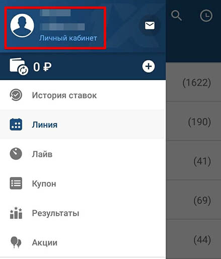Пользовательский раздел