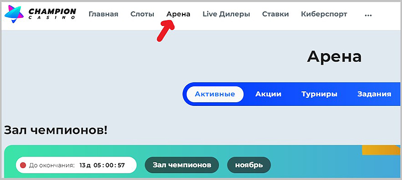 Бонусы