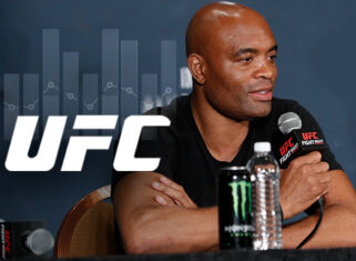 Самые длительные серии побед UFC