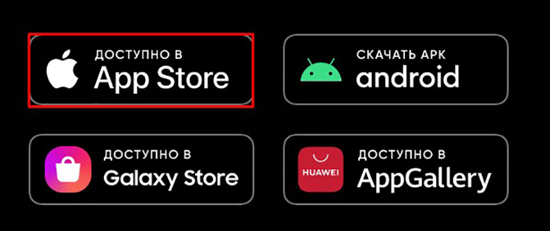Спортивные ставки в букмекерских конторах