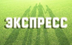 Экспресс ставки