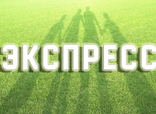 Как делать экспресс ставки: расчет, стратегии, советы