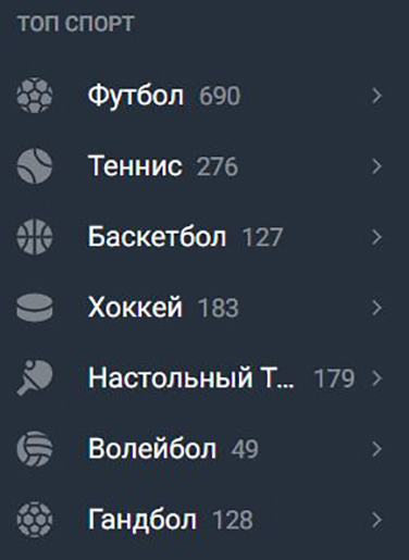 Спорт