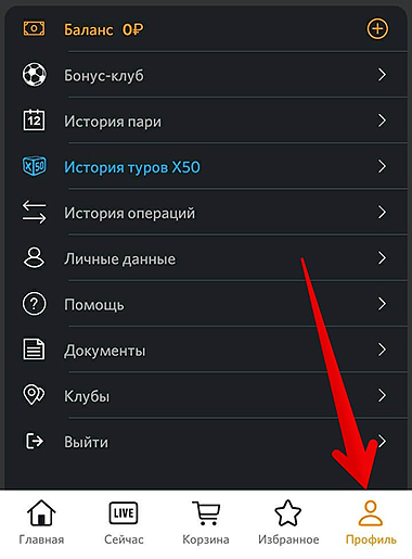 Интерфейс программы для смартфонов